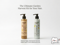 Skin & Hair Duo (Sunsreen + Shampoo)